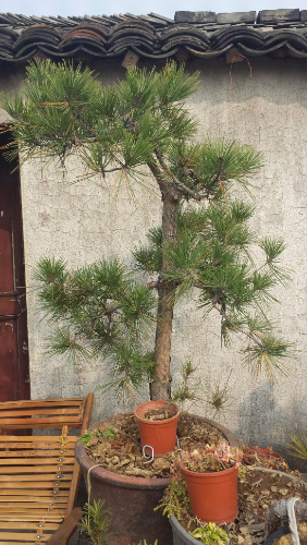 20131207_122351.jpg