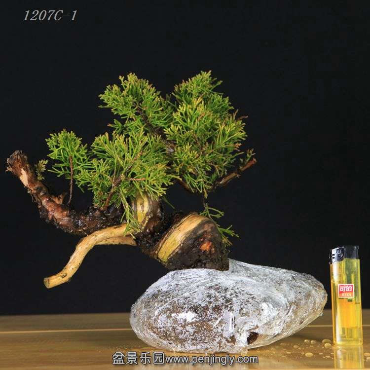 1207C-1.jpg