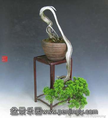 t019efecea64d7f3327.jpg