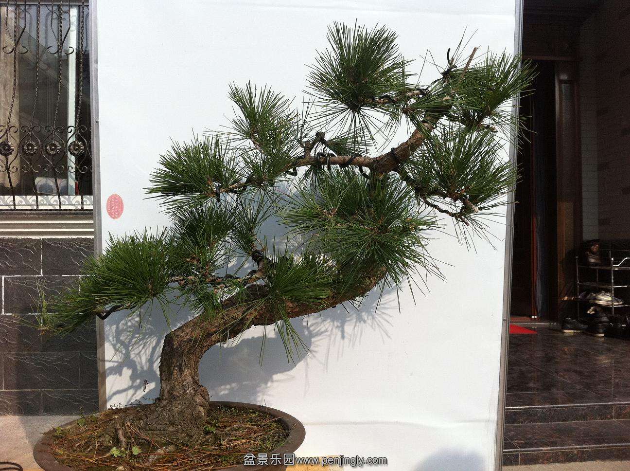 20131207ɳ800 003.jpg