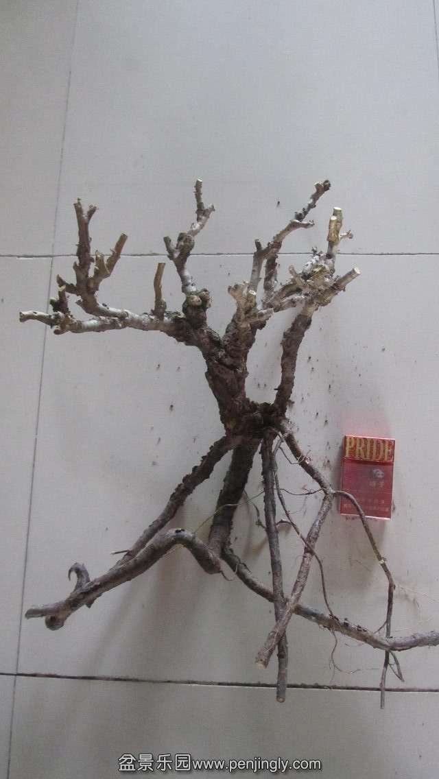 psb[4].jpg
