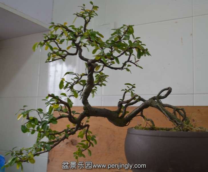 QQͼƬ20131208111003.jpg