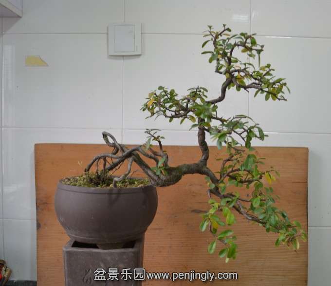 QQͼƬ20131208111147.jpg