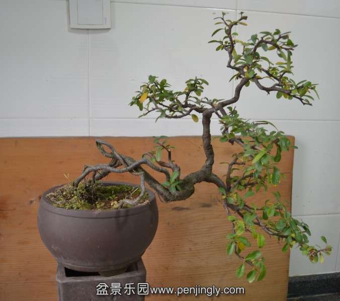 QQͼƬ20131208111215.jpg