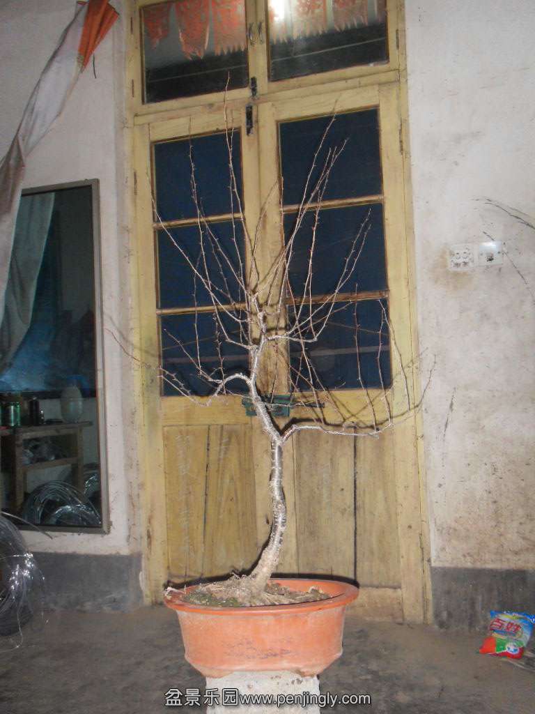 SDC18126.JPG