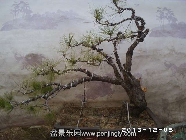 PHOT0292.JPG
