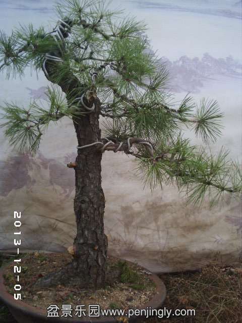 PHOT0293.JPG