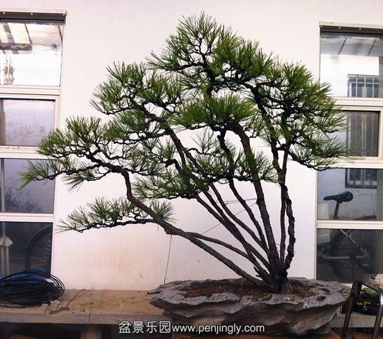 QQͼƬ20131208202114_.jpg