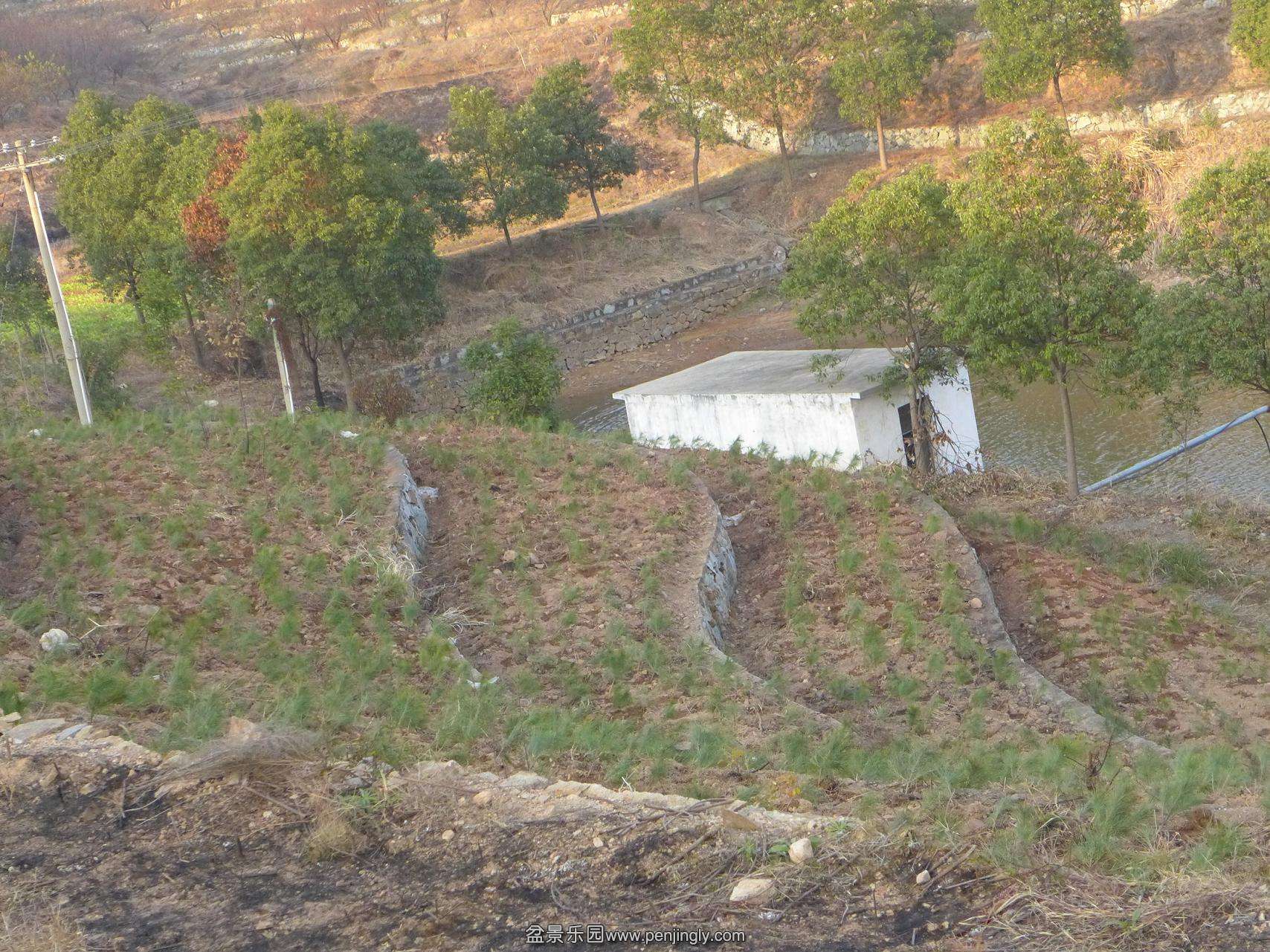 P1010487.JPG