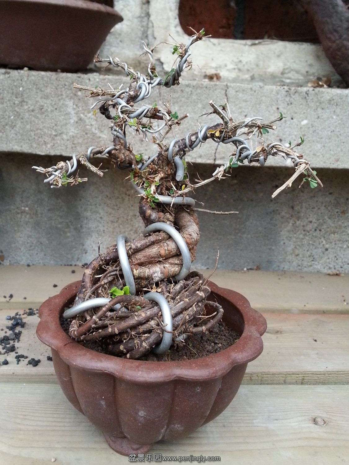 20131207_072353.jpg