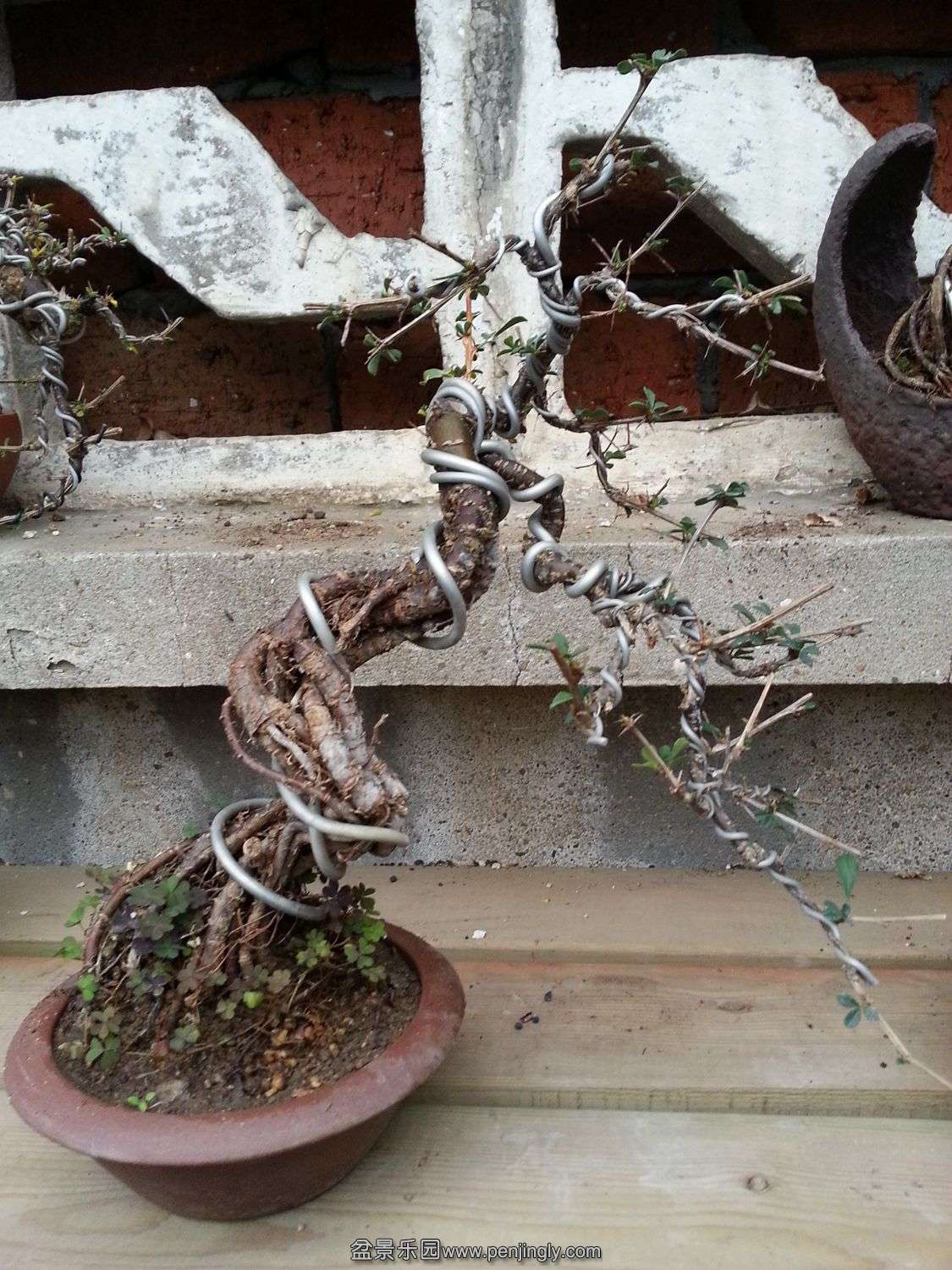 20131207_072425.jpg