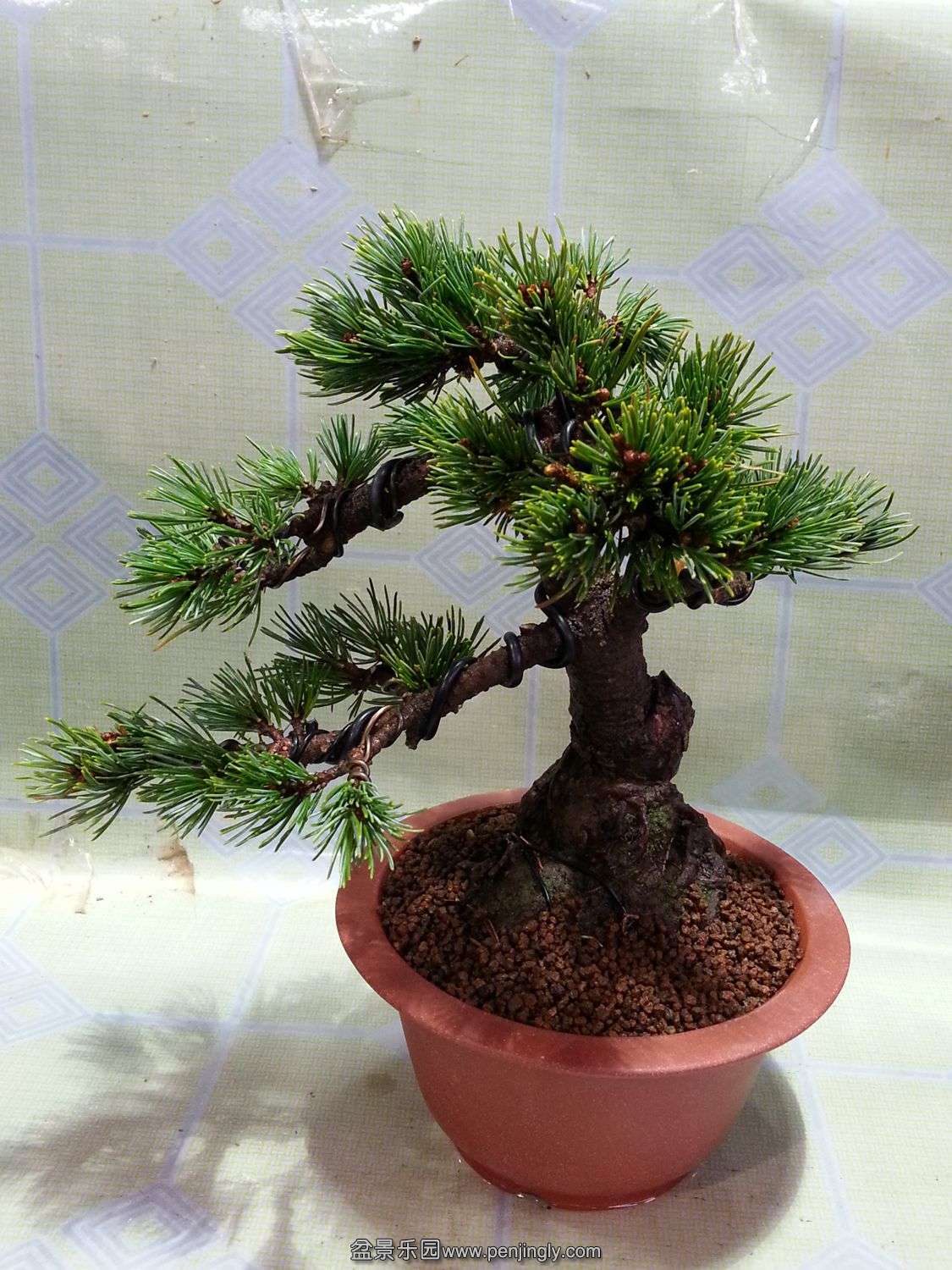 20131208_160534.jpg