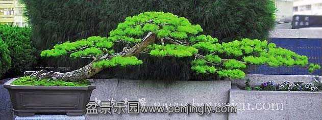 20070817090930.jpg