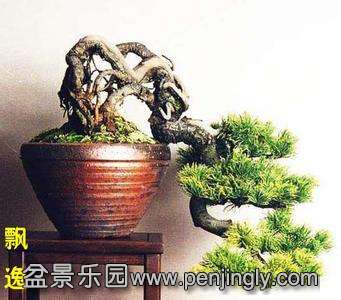u=3379232095,1521092288&amp;fm=23&amp;gp=0.jpg