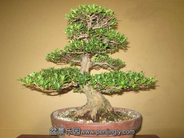 20131202gpBEhdci.jpg