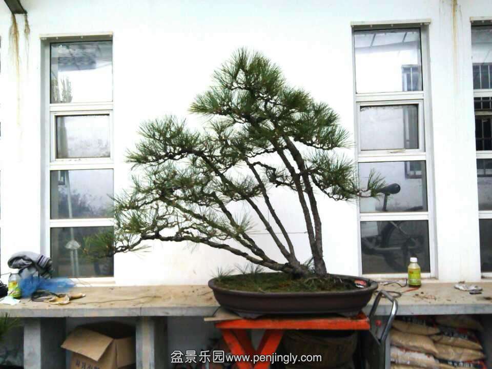 QQͼƬ20131209205154.jpg