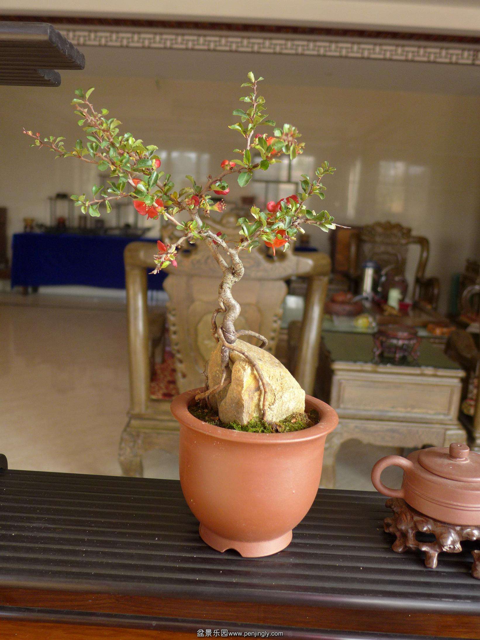P1010800.JPG