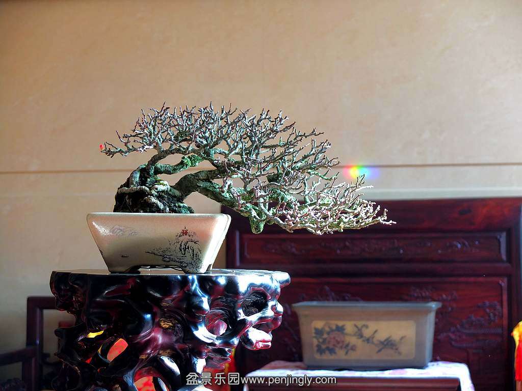 DSCF4128.jpg