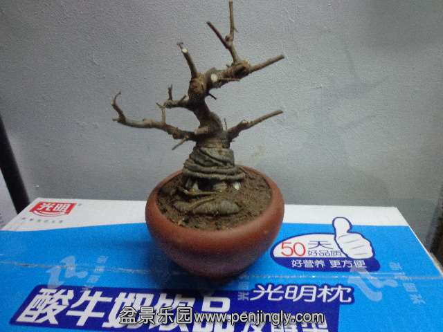 DSC00331.JPG