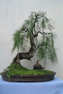 20110318211237703.jpg