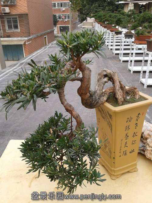 2013-11-21 14.21.25.jpg