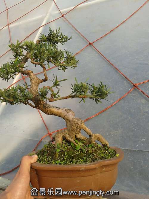 2013-12-08 13.47.28.jpg