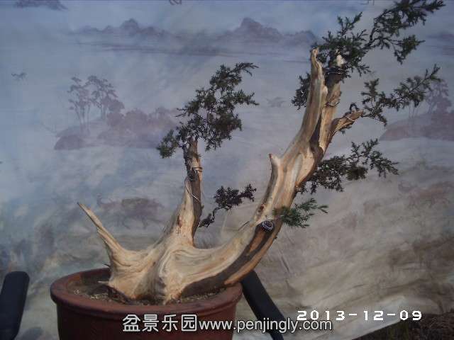 PHOT0302.JPG