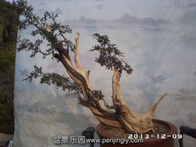 PHOT0303.JPG