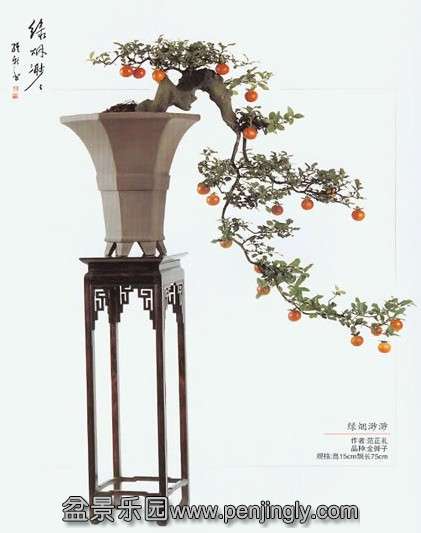 201107211806095911.jpg