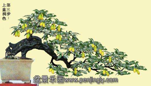 u=1368990365,1574431948&amp;fm=23&amp;gp=0.jpg