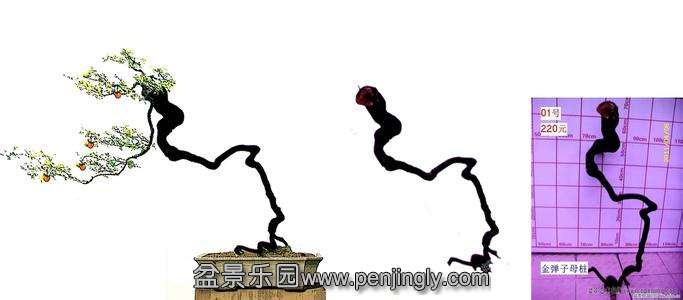 u=2627787729,3942055644&amp;fm=23&amp;gp=0.jpg