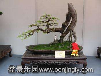 u=2833715759,559261751&amp;fm=23&amp;gp=0.jpg