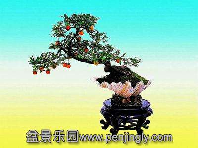 u=3476961433,1563653936&amp;fm=23&amp;gp=0.jpg