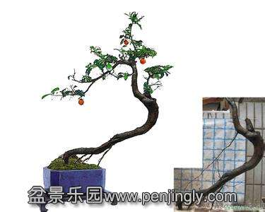 u=3257878343,3413395954&amp;fm=23&amp;gp=0.jpg