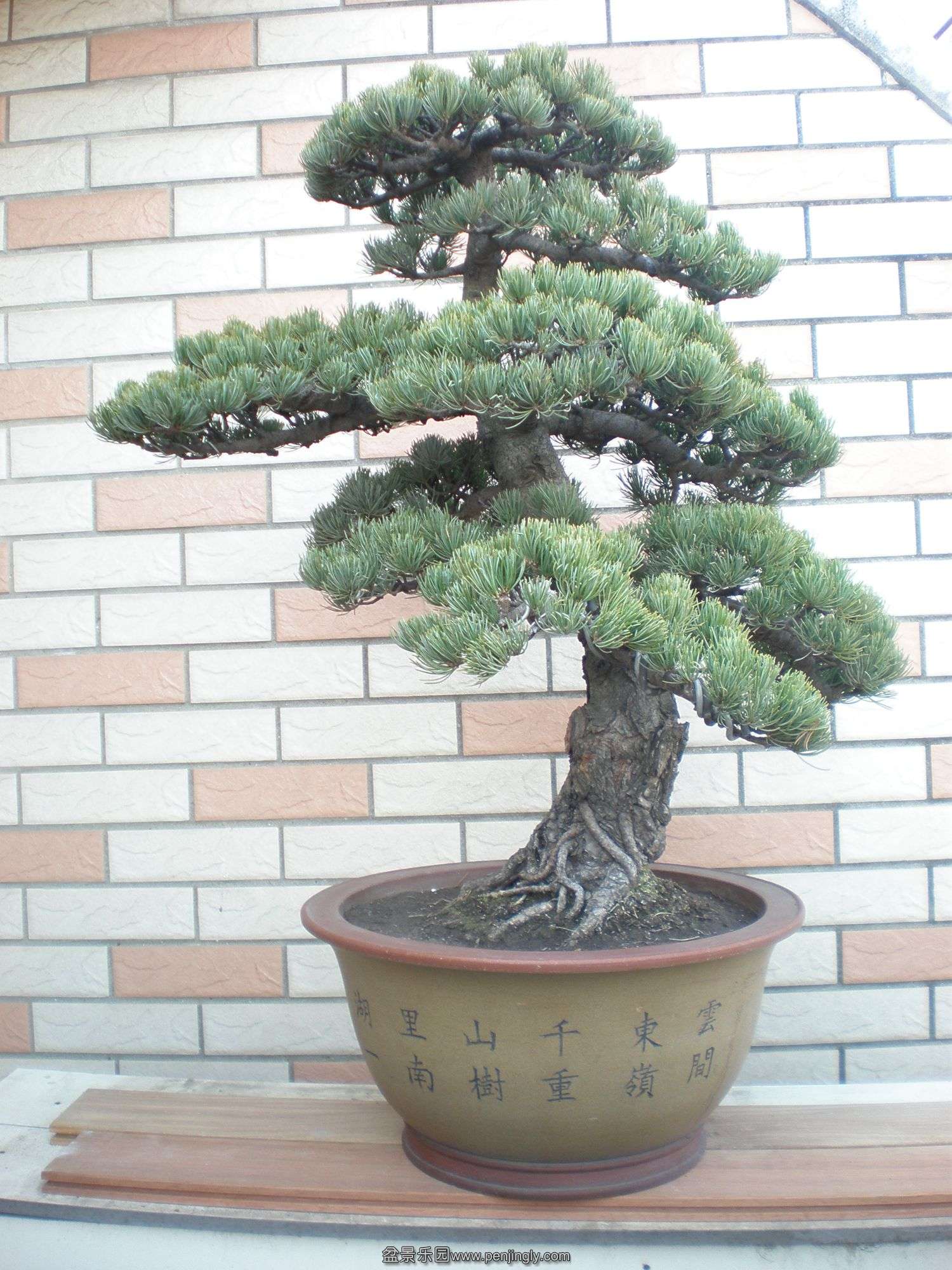 P1010057_.jpg
