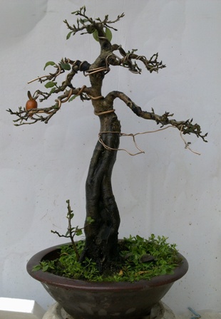 201312141787.jpg