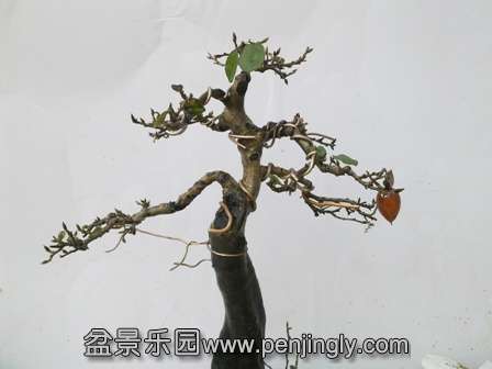 201312141789.jpg
