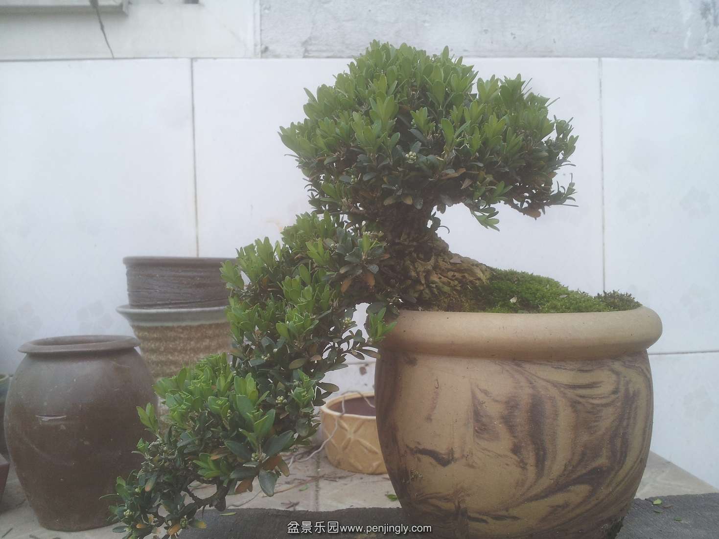 20131214_113536.jpg