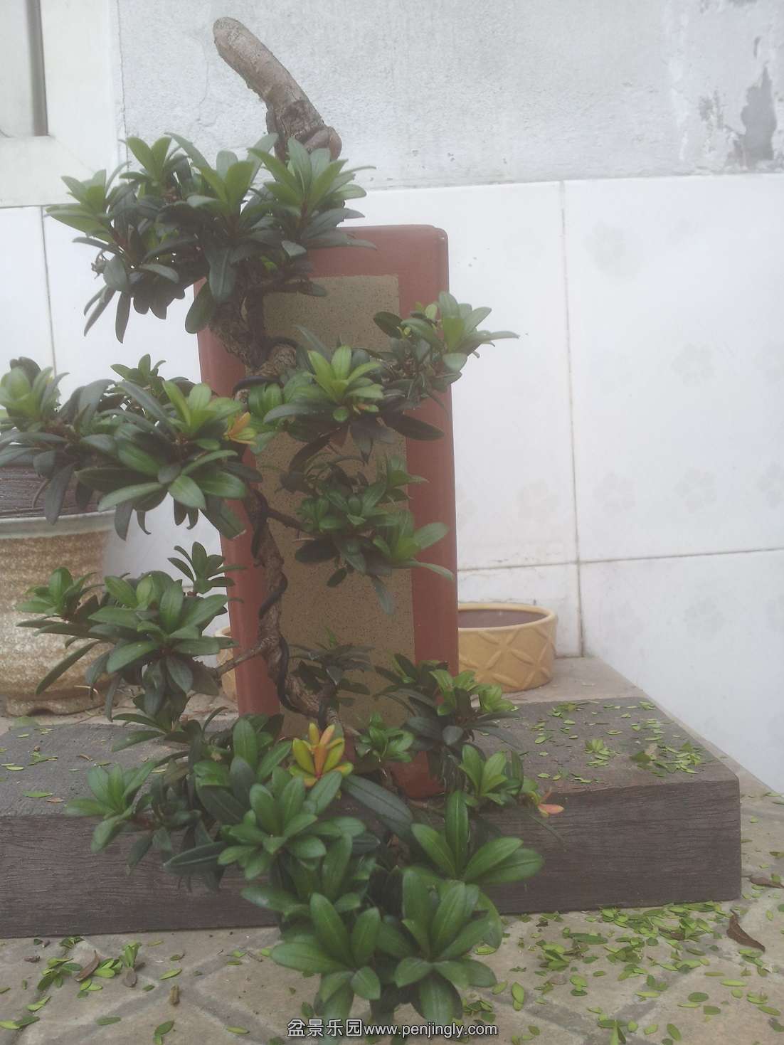 20131214_115253.jpg