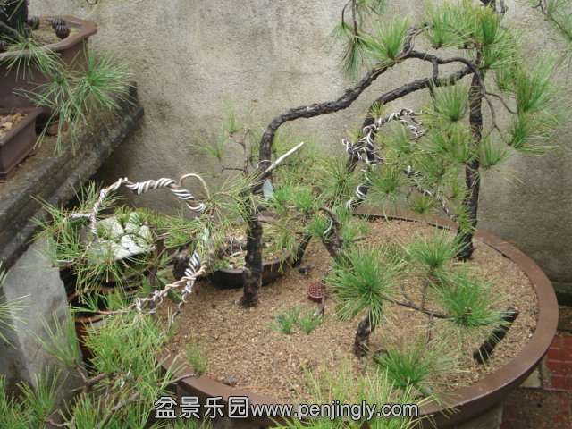 DSC00760.JPG