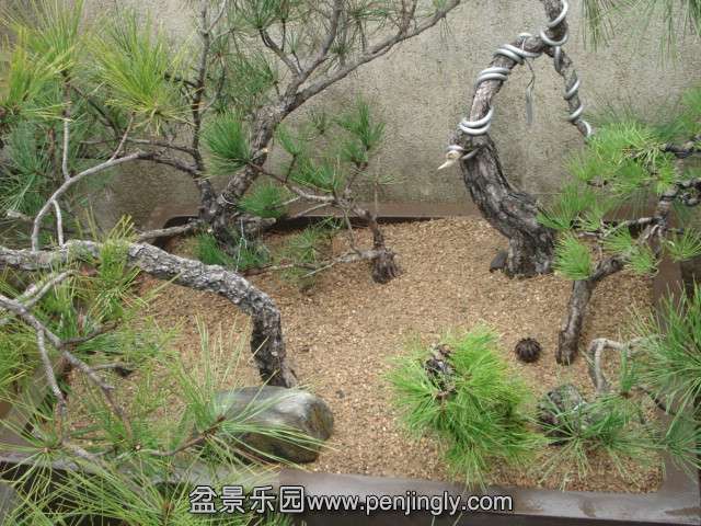 DSC00757.JPG