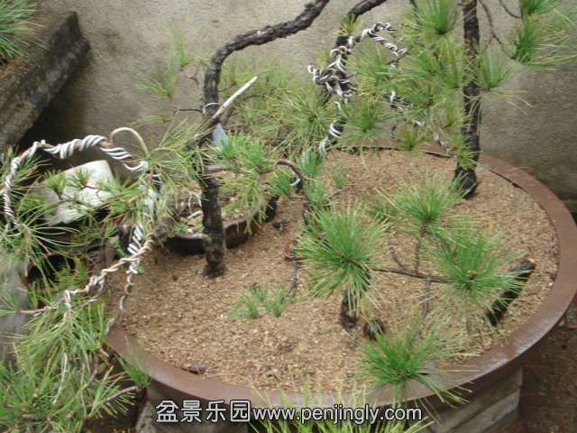 DSC00759.JPG