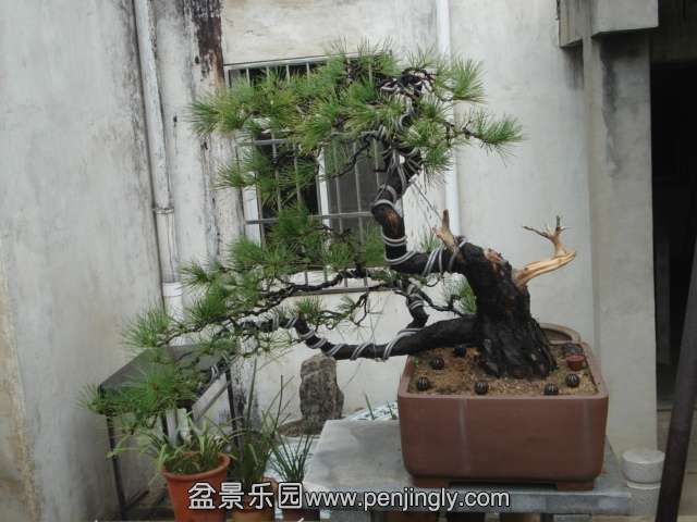 DSC00750.JPG