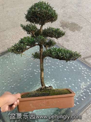 2013-12-15 11.57.33.jpg