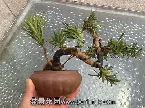 2013-12-15 12.13.27.jpg