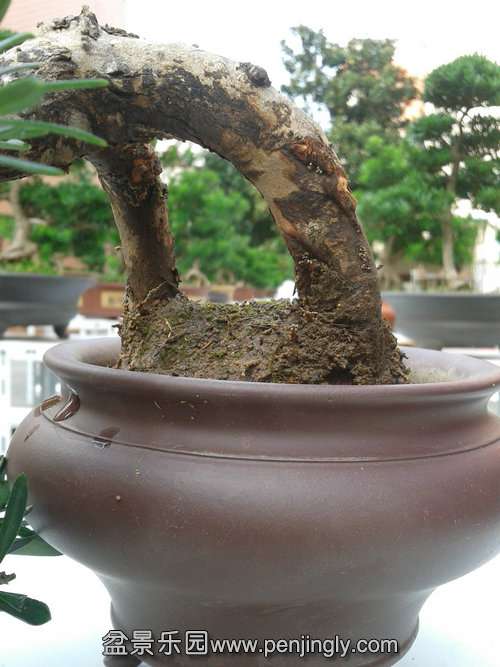 2013-10-19 14.32.17.jpg