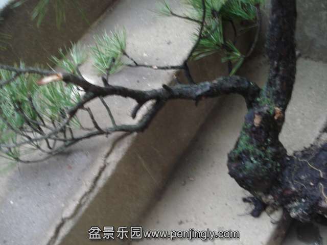 DSC00782.JPG