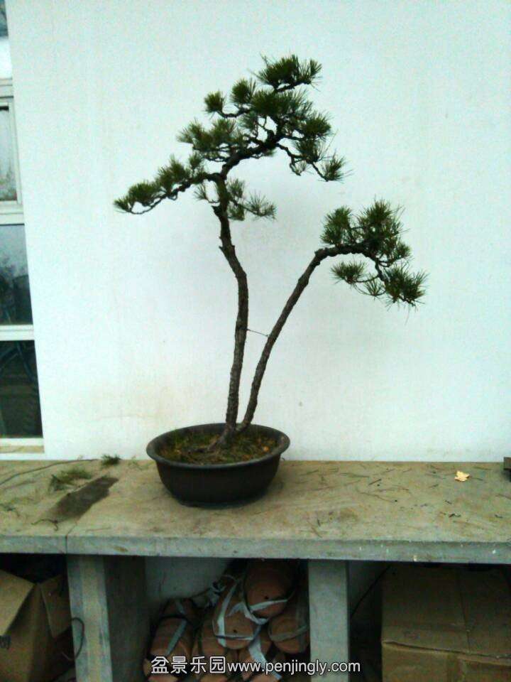 QQͼƬ20131216205010.jpg