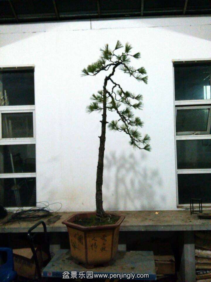 QQͼƬ20131216205041.jpg