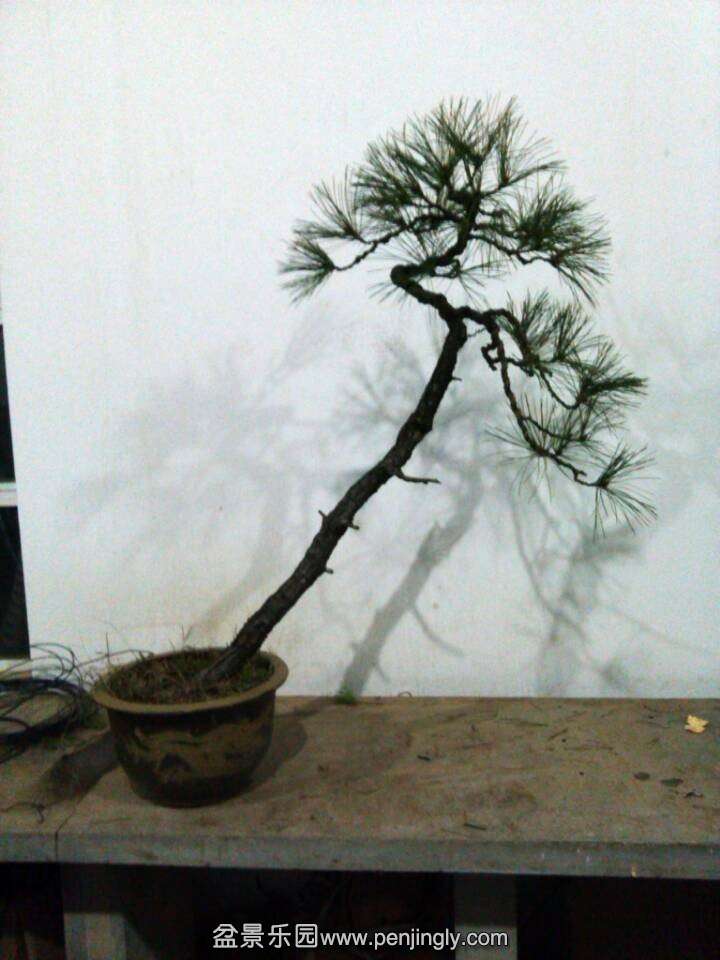 QQͼƬ20131216205022.jpg